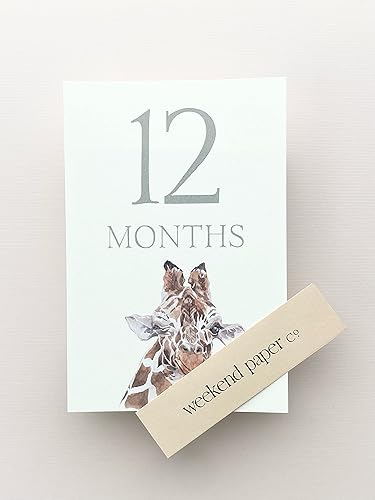 Miniatura 6 de Weekend Paper Co.™ Tarjetas de hitos de animales de bebé, marcador mensual para bebés para una futura madre o nueva madre, regalos para bebés o