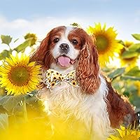 Vista 5 de Lionheart glory Collar de perro con pajarita, collar de perro con estampado de girasol para perros hembras o machos, suave, duradero, ajustable