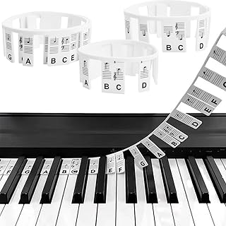HREDZEO Piano Keyboard Note Labels,88-Key Removable Piano Keyboard Note Labels Piano Key Music Notes Letter Label Durable Piano Note Labels for Beginner (Black)