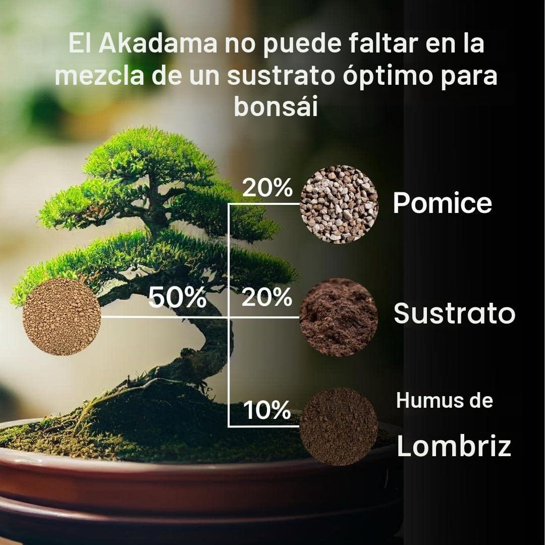 ZOMA Akadama - Granos de bonsái profesionales de 2 a 5 mm, arcilla japonesa para bonsái y suculentas variedades duras, sustrato volcánico, drenaje y antiretorno, 1,5 l
