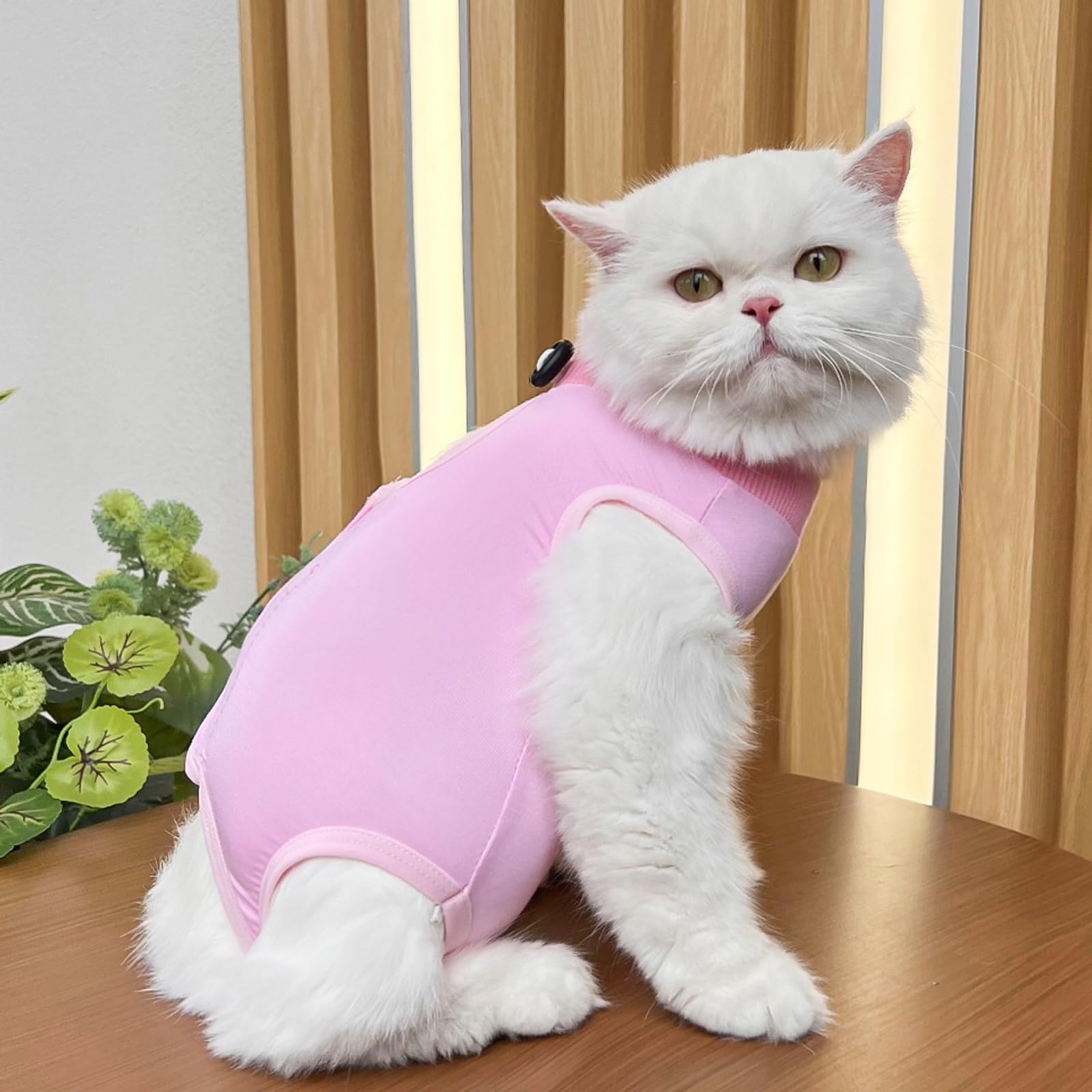 2 Combinaisons de Récupération pour Chat, Vêtement Post-Opératoire pour Chats Femelles, Tissu Modal Doux et Respirant, Rose & Bleu, Taille M (Chats de 2-4KG)