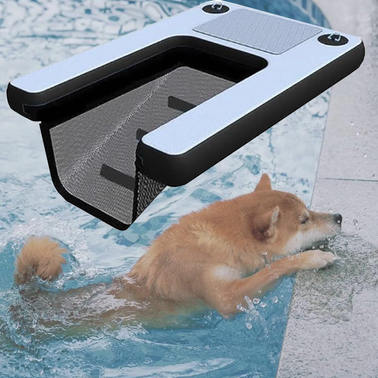 Rampe gonflable pour chiens pliable avec patin antidérapant et anneaux en D