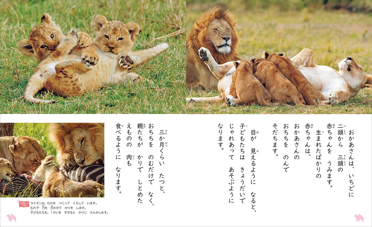 3 生きものの 赤ちゃん 教科書にでてくる 生きものをくらべよう 忠明 今泉 本 通販 Amazon