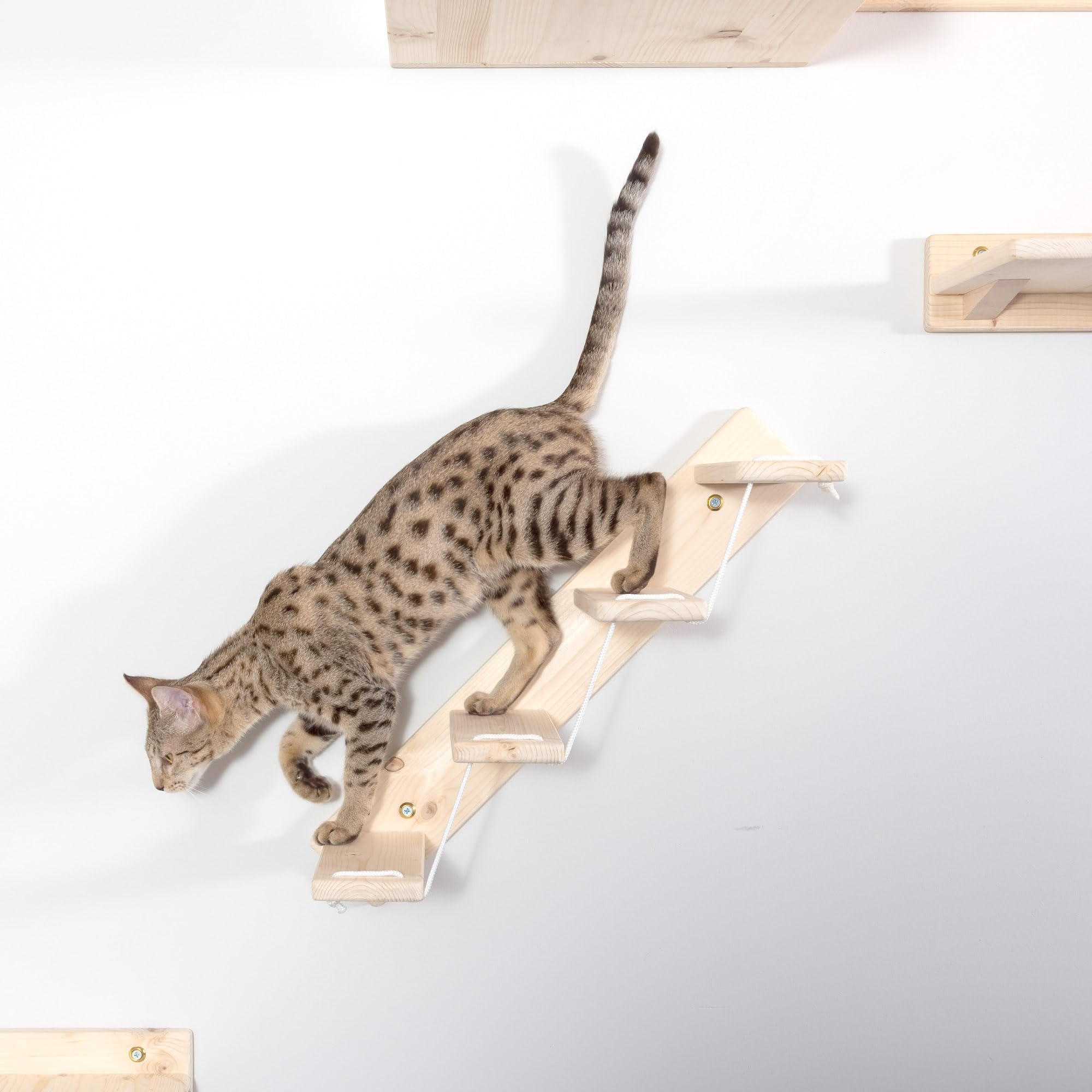 Scaletta per Gatti da Parete in Legno d'Abete Artigianale, Scala 4 Gradini Destra, per Giocare e Arrampicata per gatti con Resistenza Fino a 20 kg - Percorsipergatti