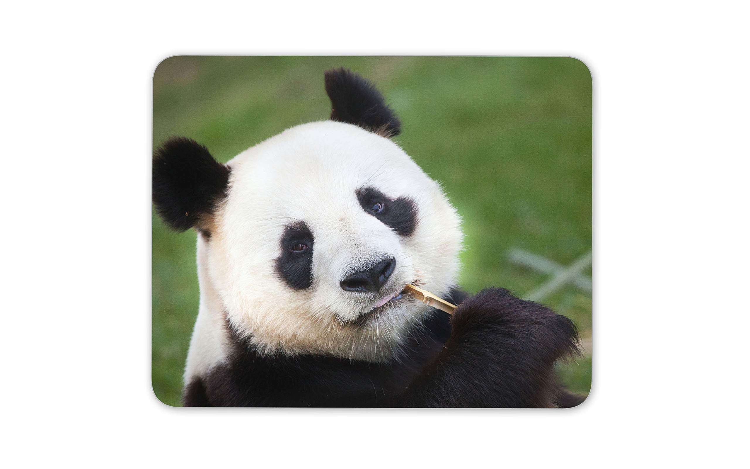 Adorable Panda Bear Mouse Mat Pad - Endangered Wild Computer #14592
