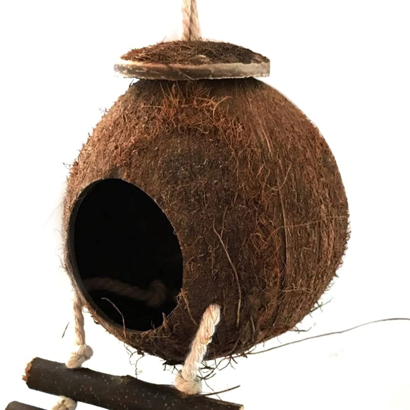 Casa para pájaros El Nido de pájaro con cáscara de Coco con Escalera se Puede Colgar en el jardín y el Patio para decoración, Lugar de Descanso y cría de pájaros