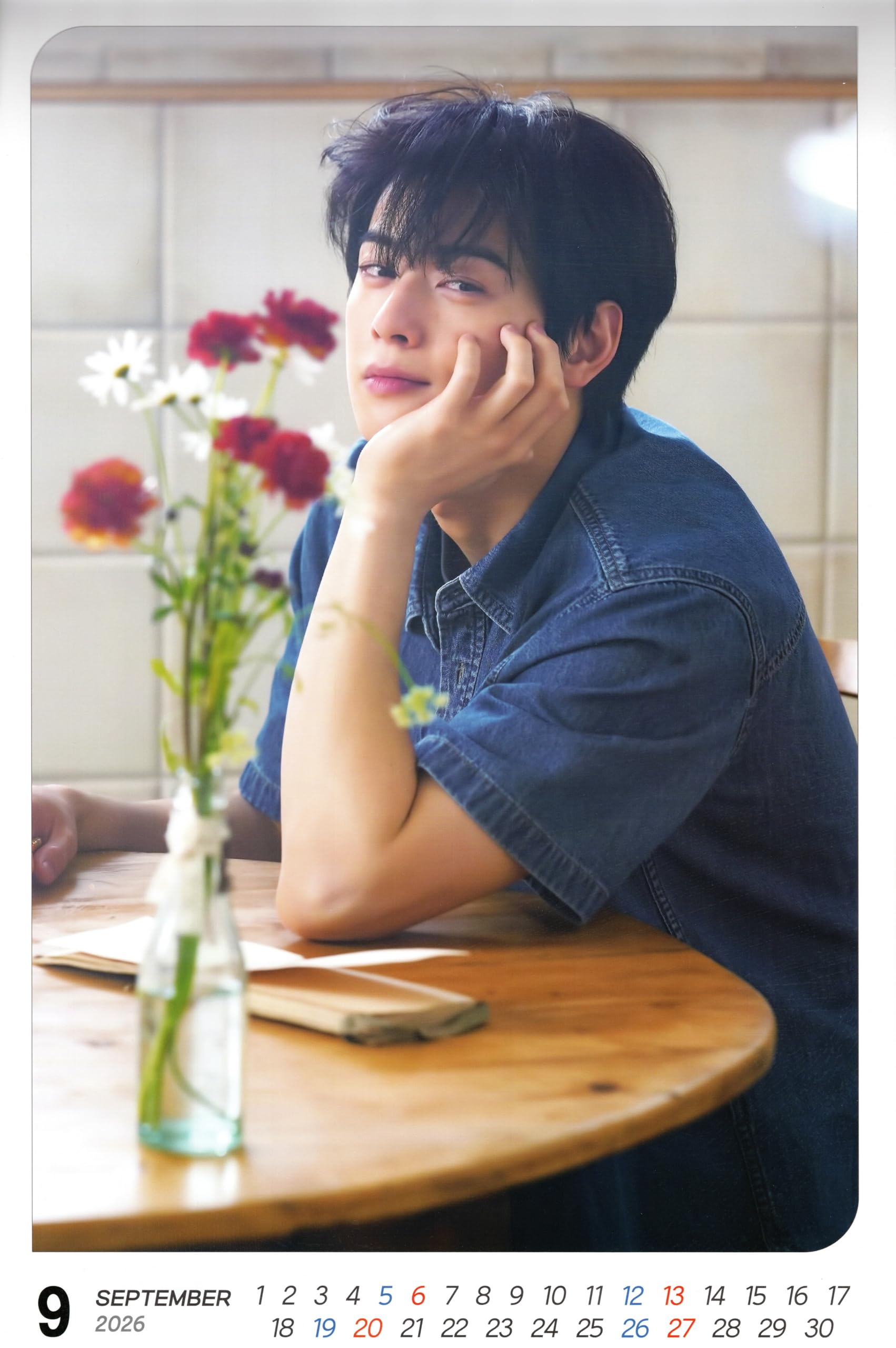 Amazon.co.jp: チャウヌ グッズ 大判 壁掛け カレンダー 2026年 (令和8