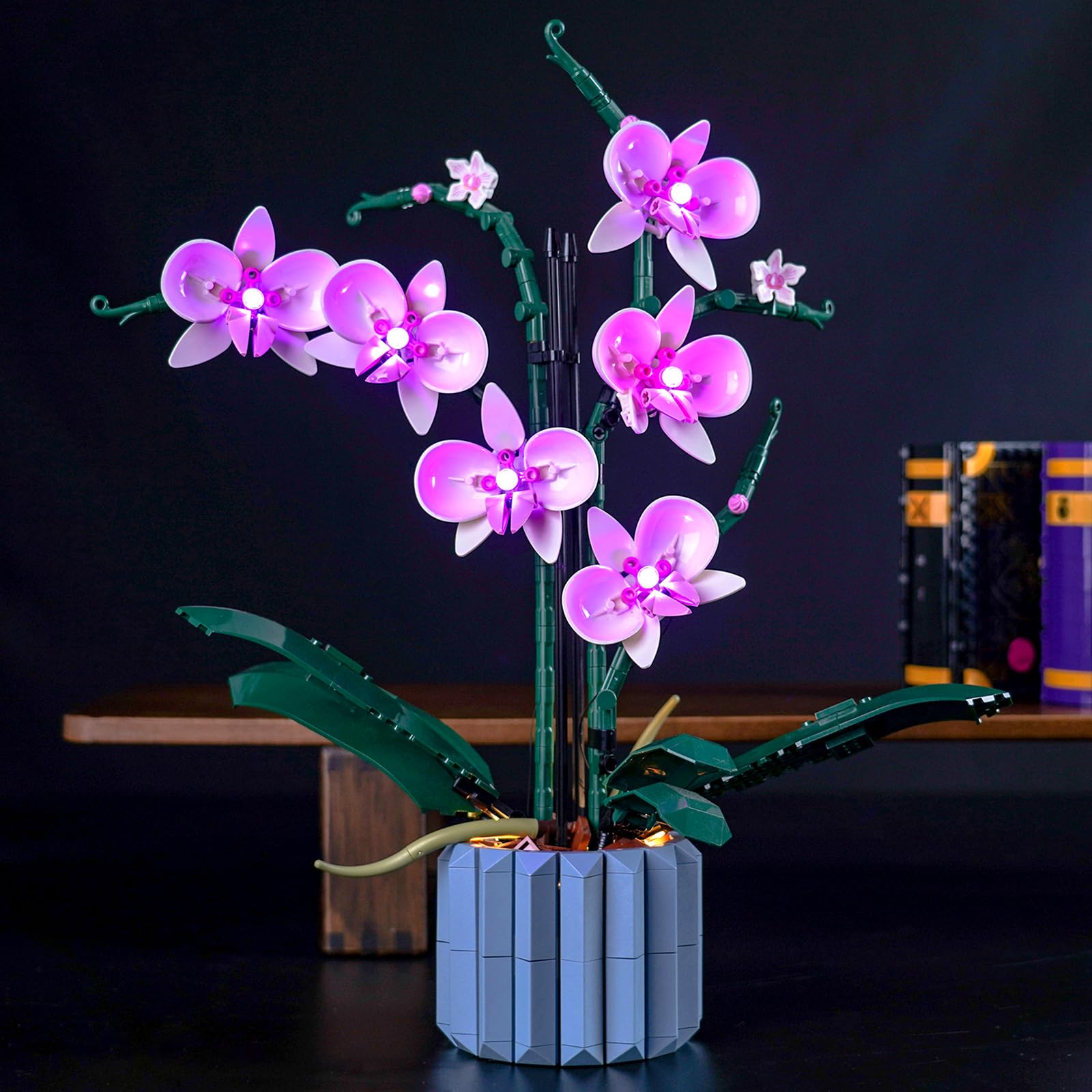 Set di luci LED compatibile con Lego Orchid (solo luci, nessun blocco di costruzione), Kit di luce compatibile con Lego 10311 Orchid Botanical Collection Set
