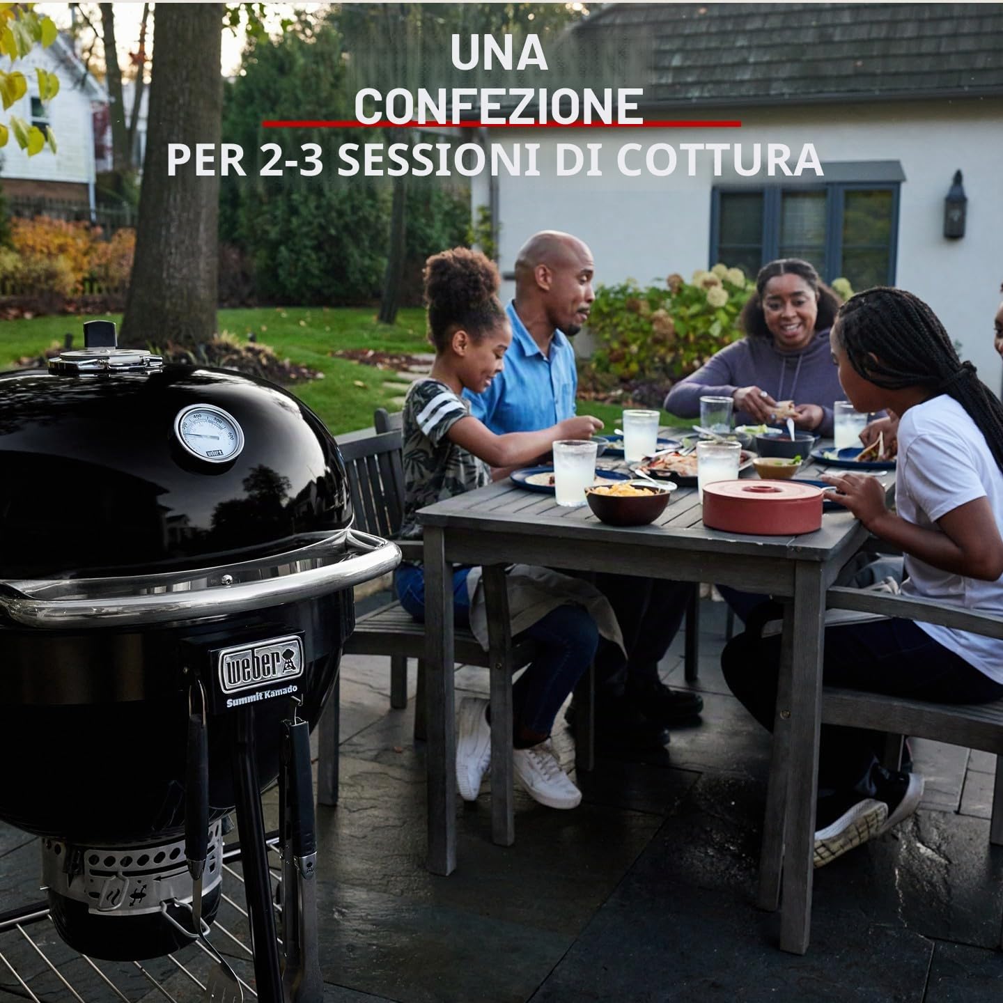 Weber Bricchetti di carbone 4 kg BBQ combustibile naturale accensione 20 minuti 3 ore