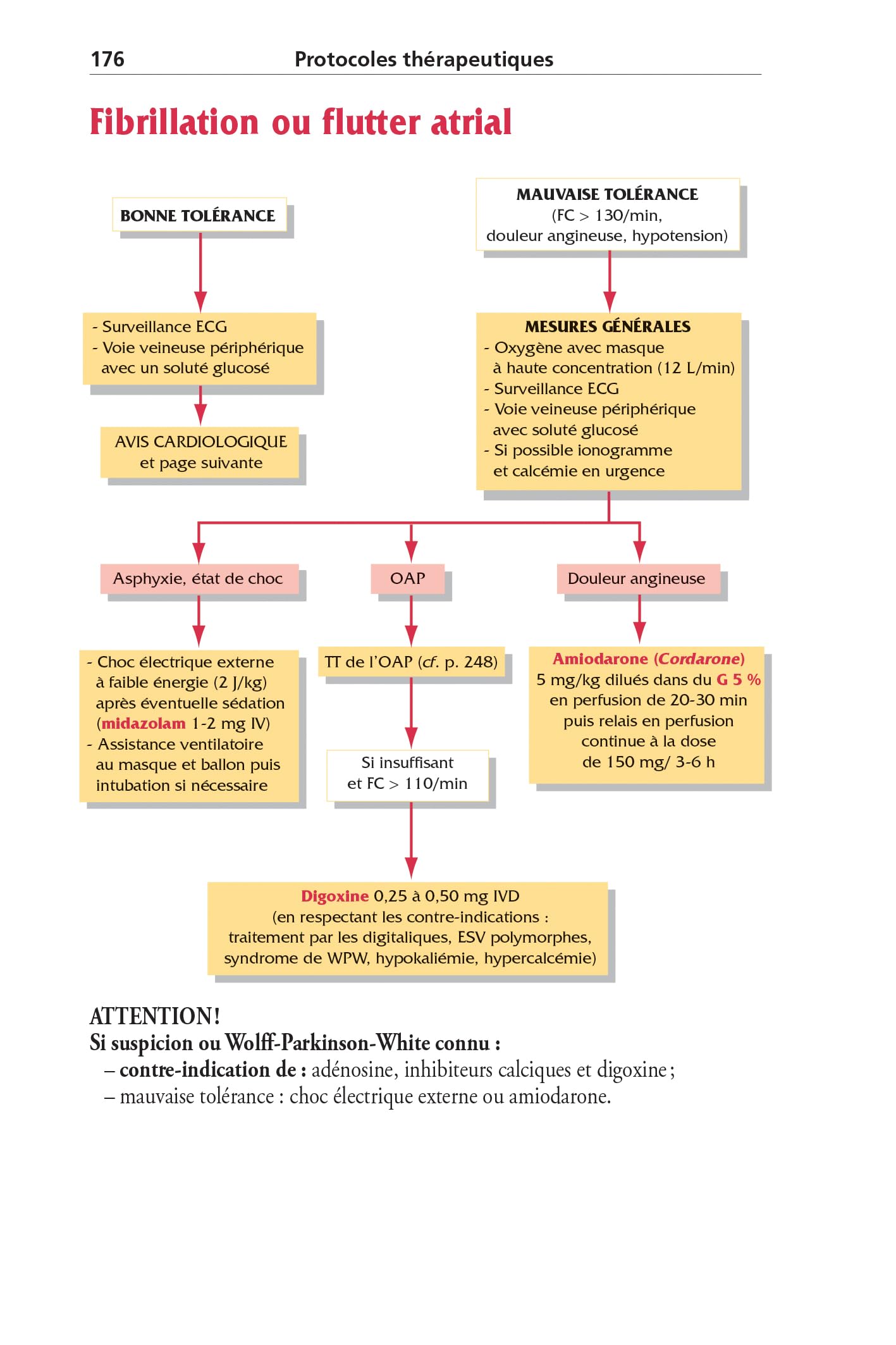 Urgences 2025, 12e éd.: Tri et orientations diagnostiques - Protocoles thérapeutiques - Scores et mémos - Médicaments de l'urgence - Certificats et aspects médicolégaux - Lexique français-anglais