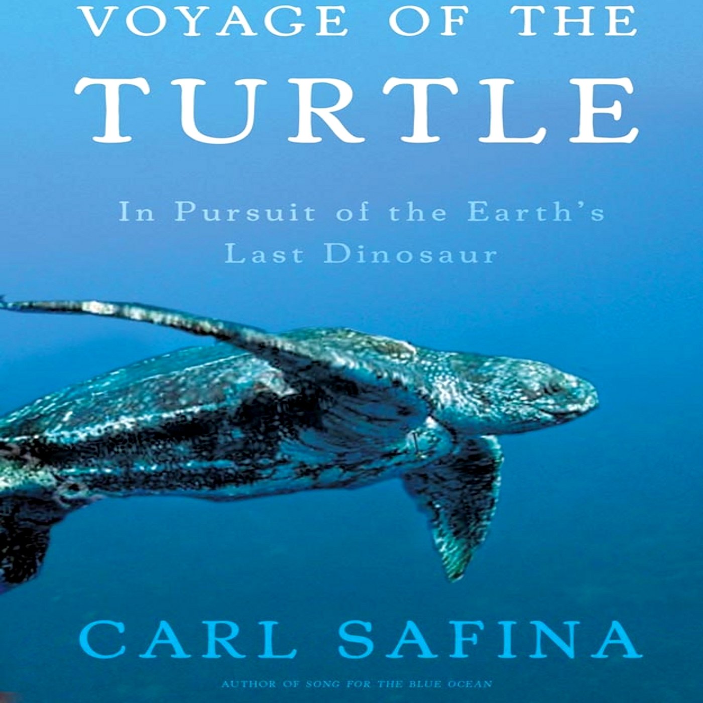Cover art for Voyage of the Turtle