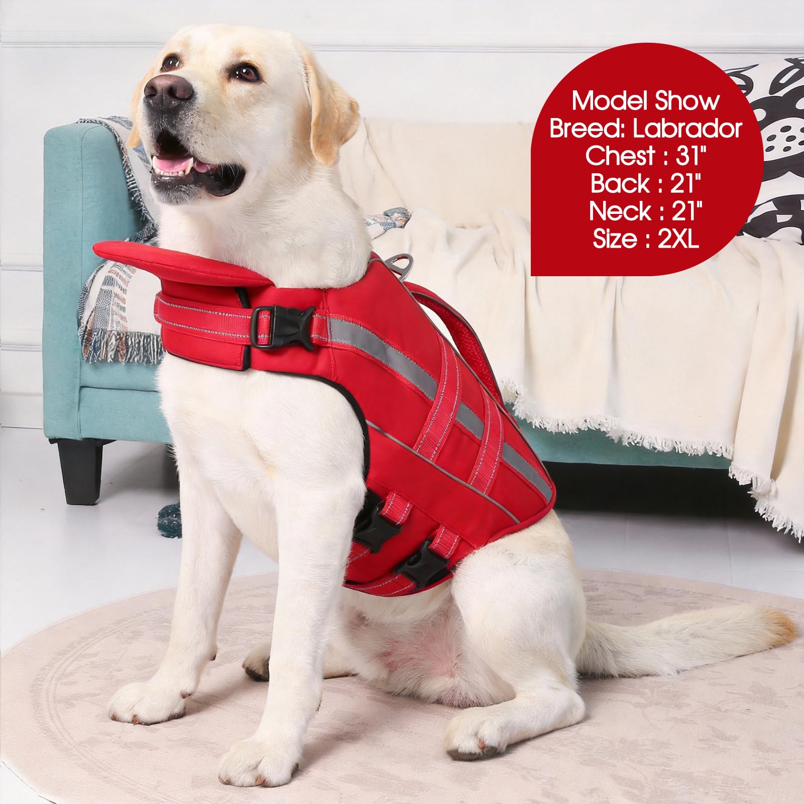 Amazon | 犬用ライフジャケット 犬用ライフベスト 水泳 ボート用