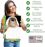 Vista 668 de Razas de Perros 2017