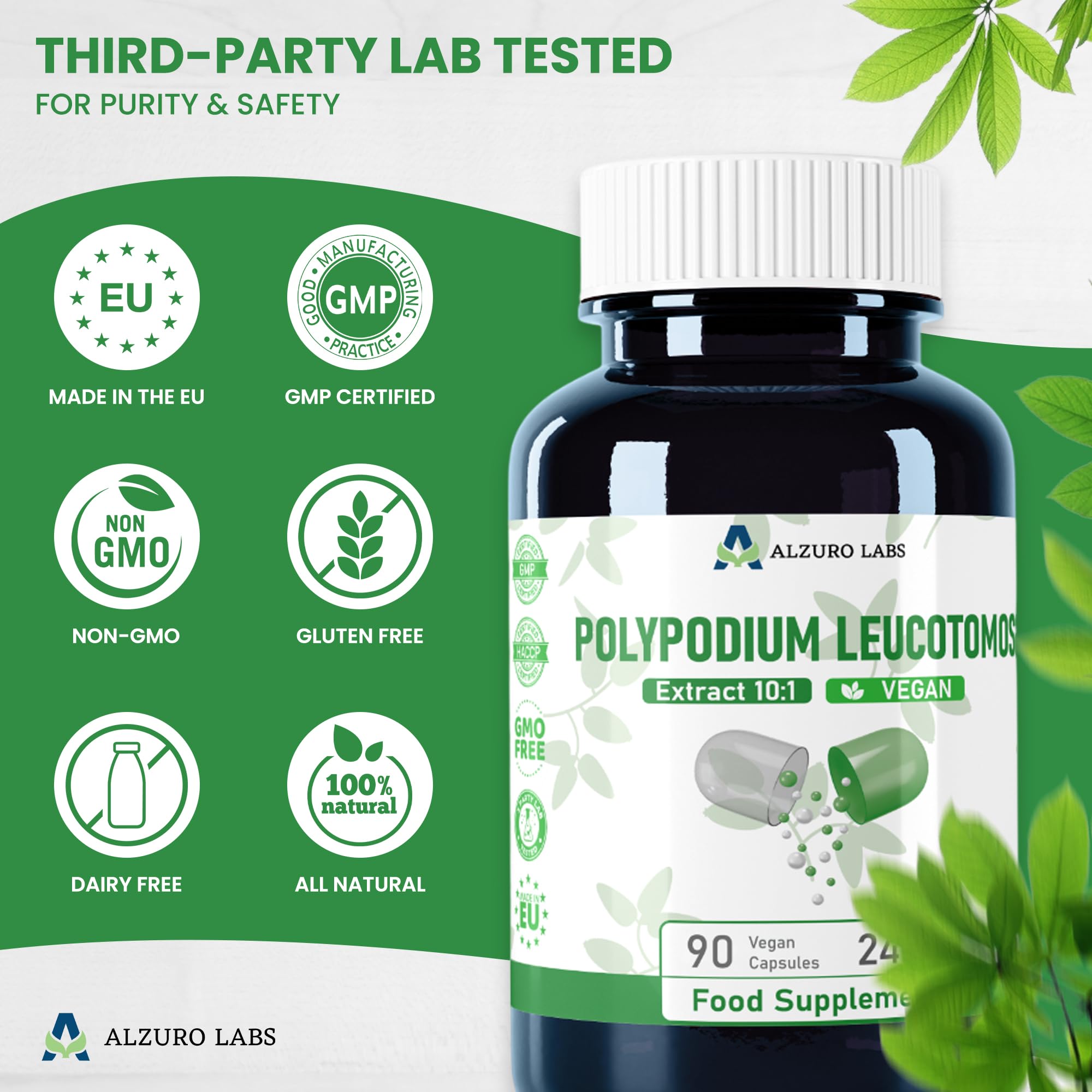 Polypodium leucotomos | 2 400 mg équivalent | Haute dose 240 mg d'extrait de fougère 10:1 | 90 gélules végétaliennes | GMP & Testé en Laboratoire Indépendant