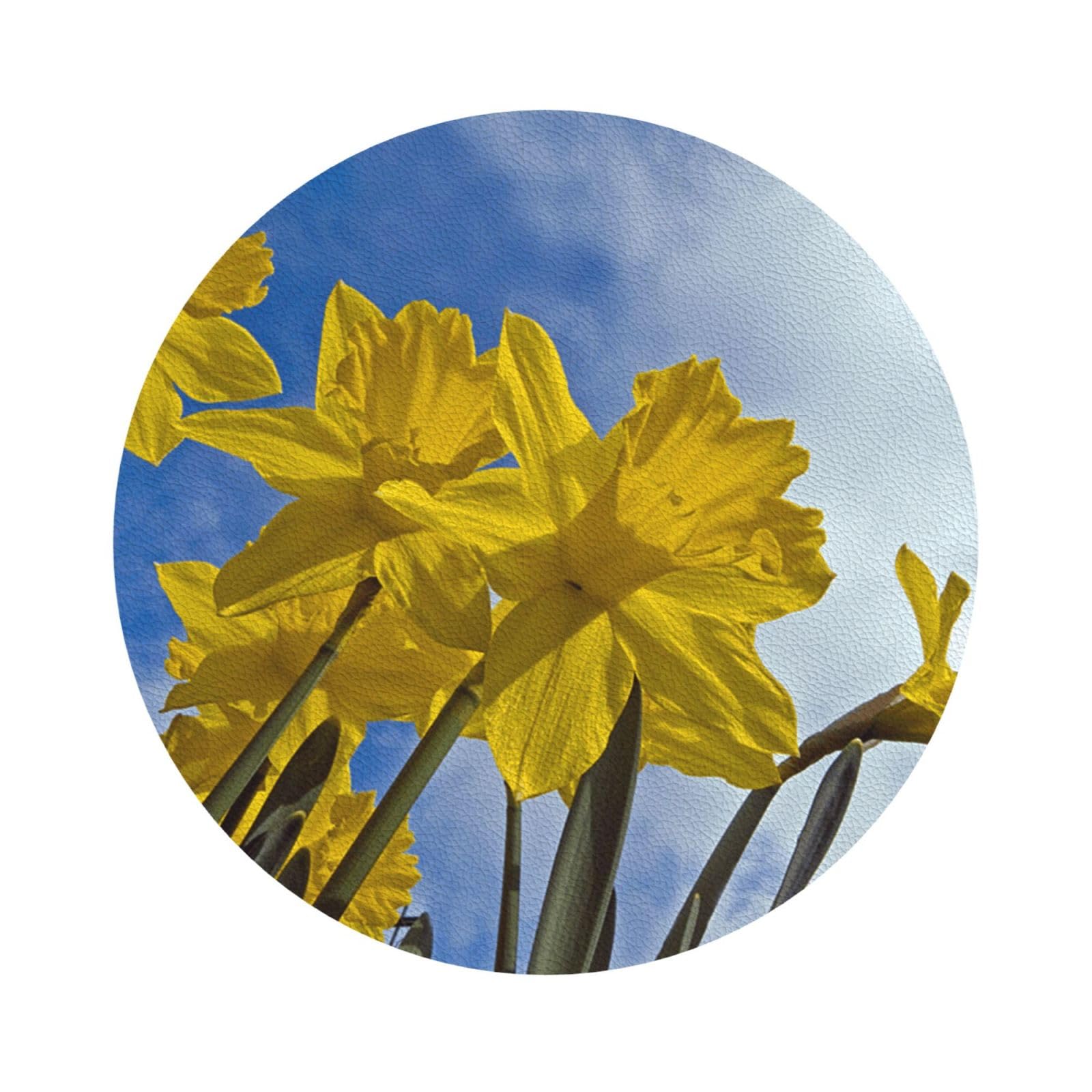 Yellow Daffodil PU Leather Coasters Set of 6 Round Drink Coasters