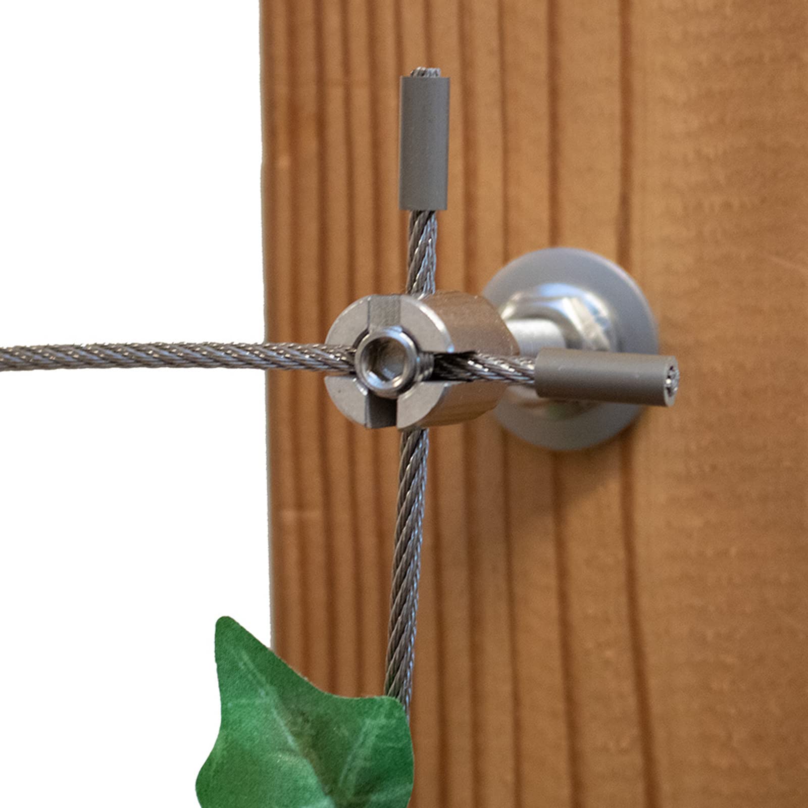 Rankhilfe/Ranksystem ''M'' aus Edelstahl - Wandabstand 50mm (Set 8) mit 20 Wandhaltern und 50m Drahtseil