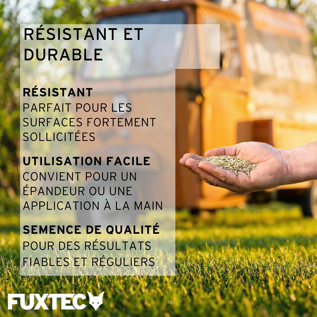 FUXTEC FX-RSSP5 Graines de pelouse, gazon de jardin robuste pour semis neuf et ultérieur, grande capacité de germination, croissance dense, résistante et résistante à l'écrasement, 5 kg pour env. 250