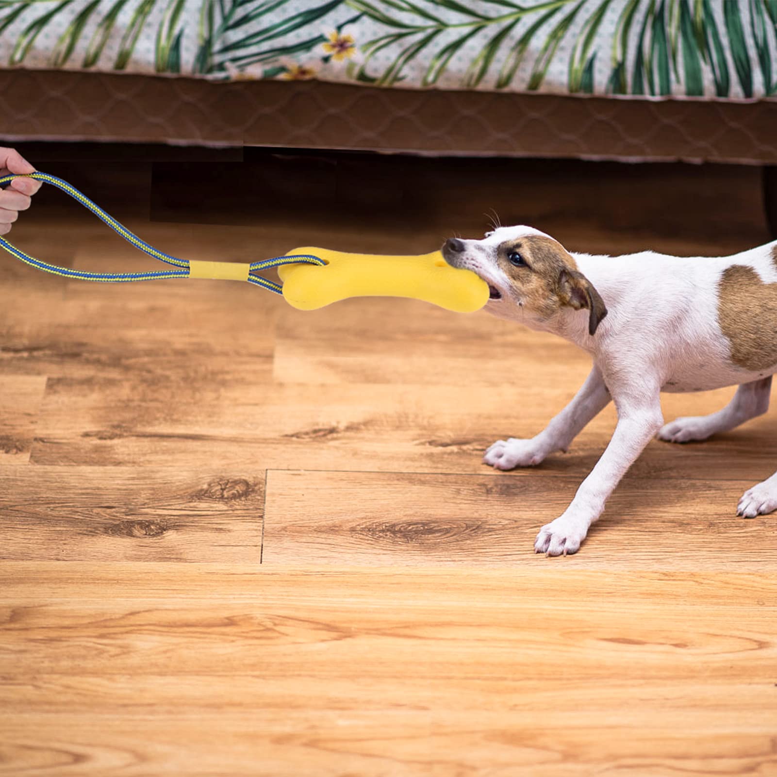 SCENEREAL Pet Chew Toy