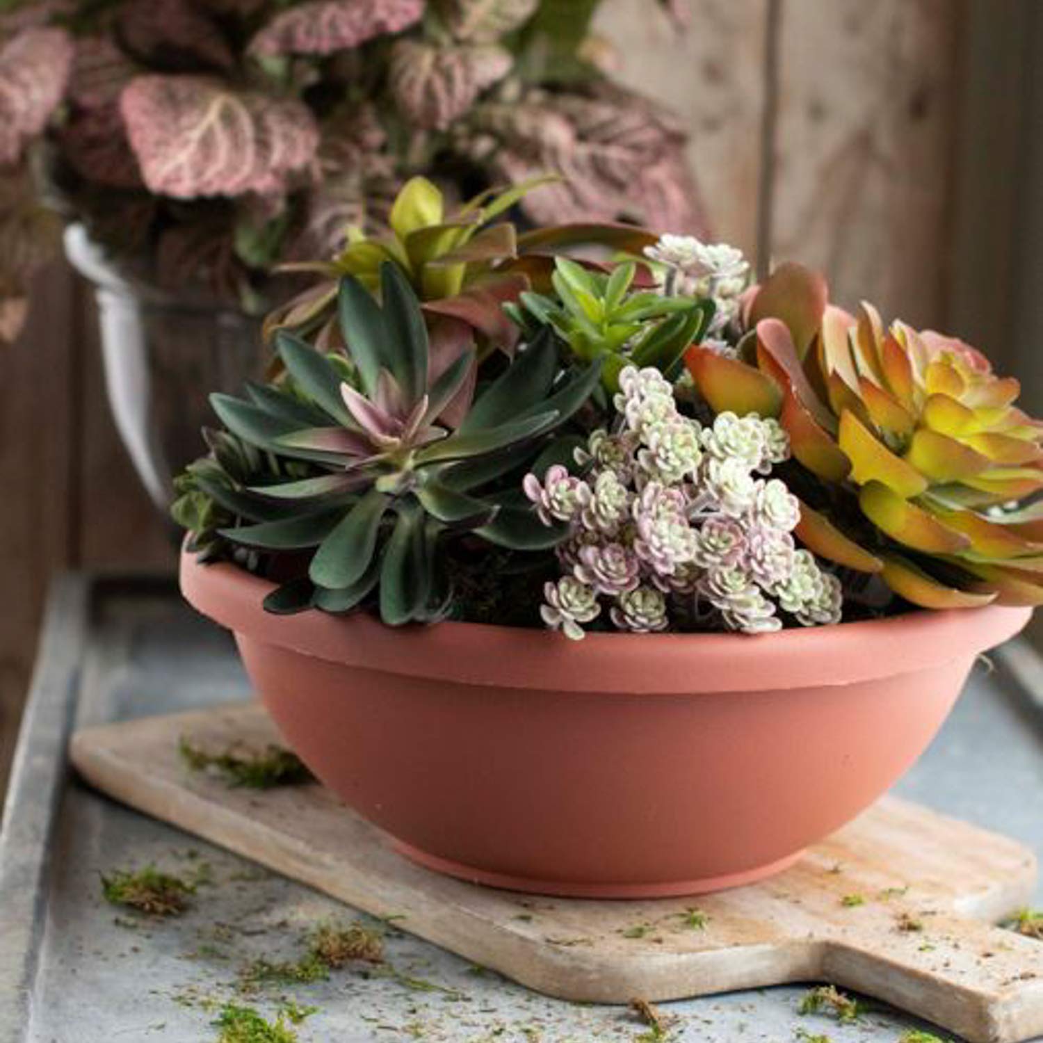 Progress Bowl Pot M 植木鉢　コーデックス 植木鉢 プラポット bowl 10 black plastic pot 径10.5cm 高さ8cm 3号