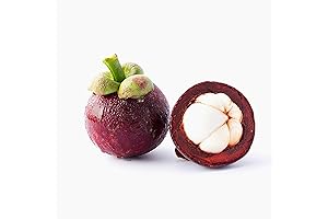 QAUZUY GARDEN 90pcs Mangosteen Fruit Seeds