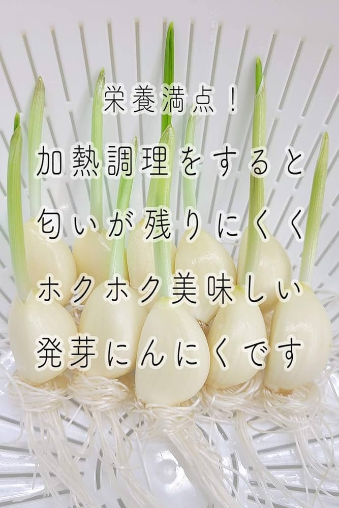 Amazon.co.jp: 発芽にんにく 水耕栽培 国産 500g x2スプラウト