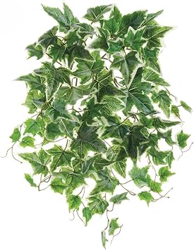 Allstate Floral PBO031-GR-CR 19 in. UV Protected Ivy Bush - Green & Cream