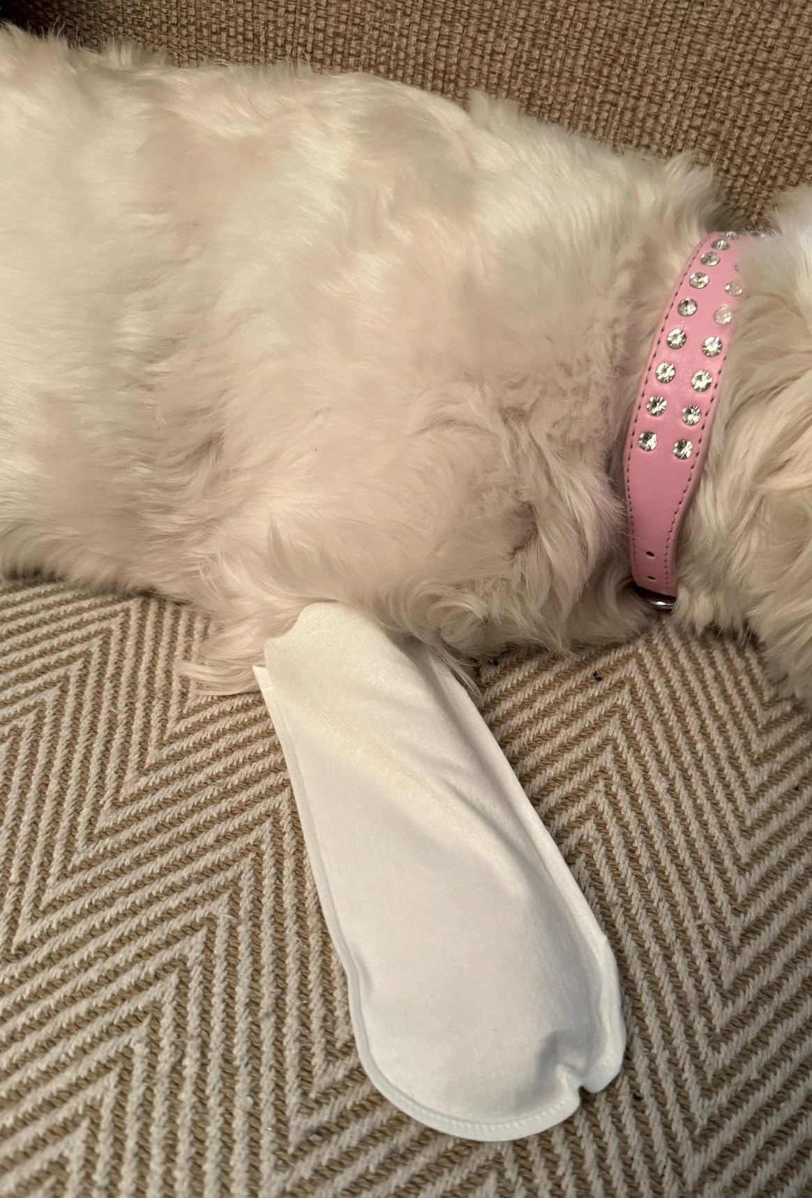 24 Pieces Dog Shoes, Dog Socks for Dogs to Stop Licking Paws with 2 Dog