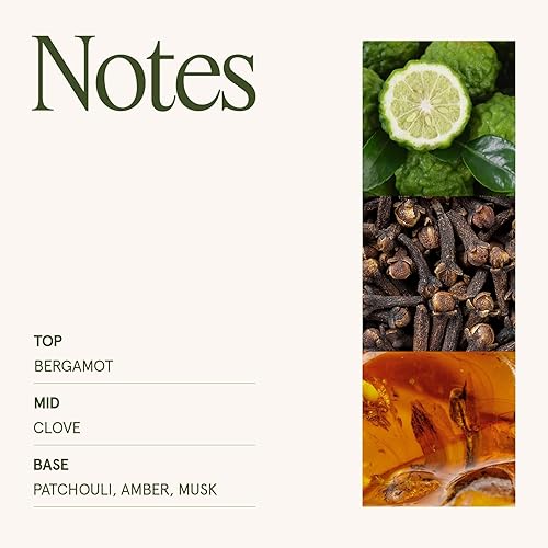 Miniatura 4 de LA JOLIE MUSE Vela de ámbar marroquí, velas aromáticas para el hogar, vela de soja grande de 2 mechas, velas perfumadas para hombres y mujeres,