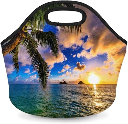 bisibuy Lonchera de neopreno con palmera del océano Hawaii, suave, lavable, reutilizable, aislada, ligera, para preparación de comidas, para