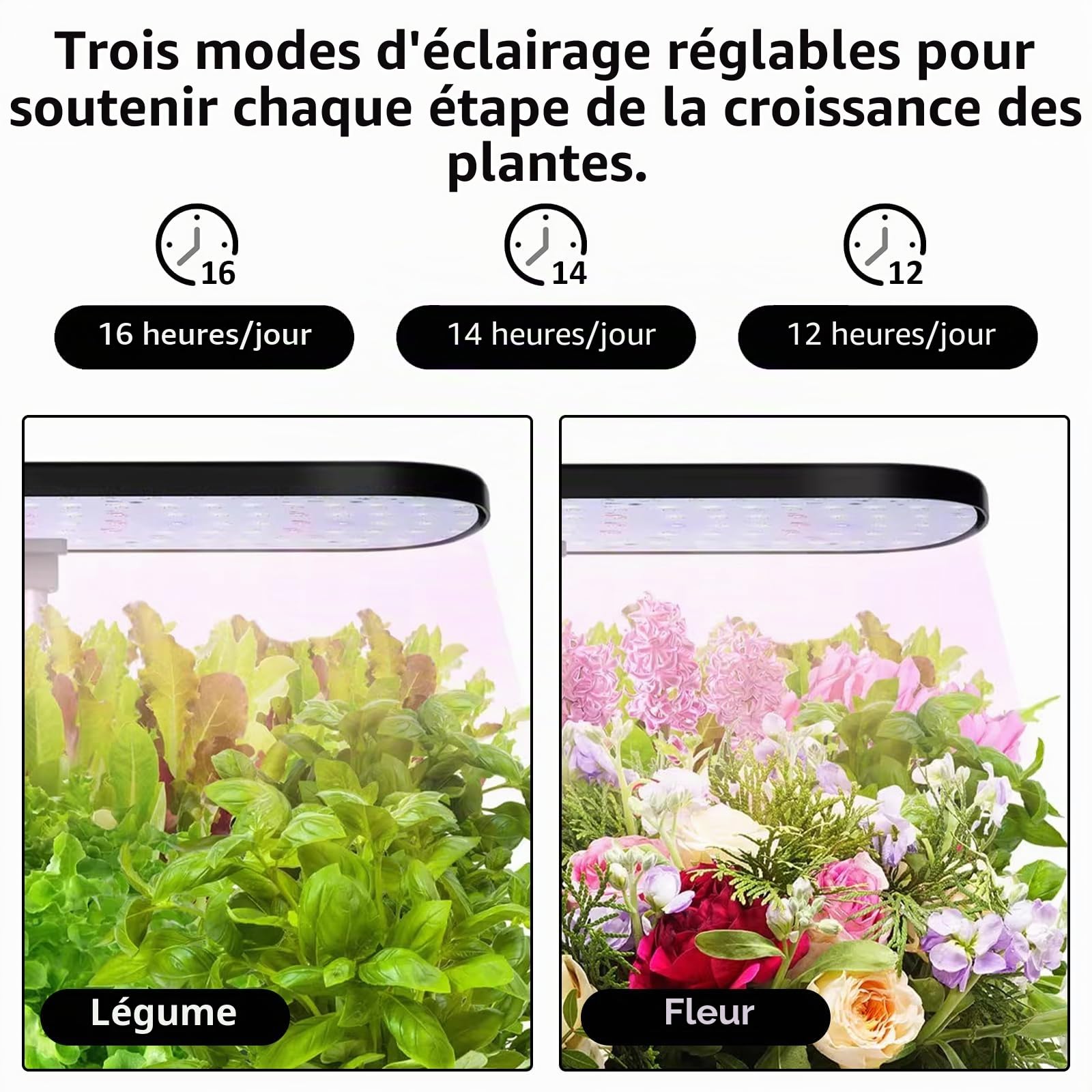 Système Hydroponique de Germination 52 Emplacements, Lampe LED Plein Spectre 24 W, Réservoir 4 L avec Minuterie Automatique et Arrosage Intelligent pour Fleurs, Légumes et Semis
