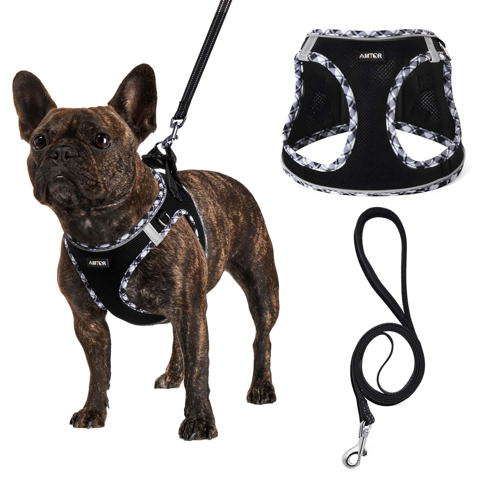 AMTOR Small Dog Harness with Leash Set