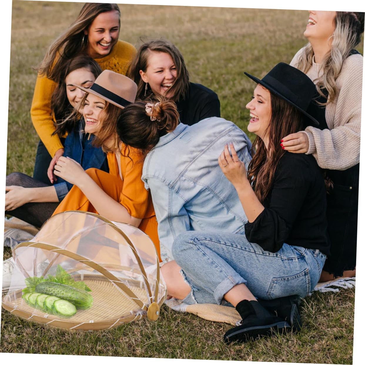 Cabilock Covered Fruit Basket Hand Woven Mesh Basket with Food Covers for Outdoor Use for Storing Snacks Breads and Fruits and Design Shape