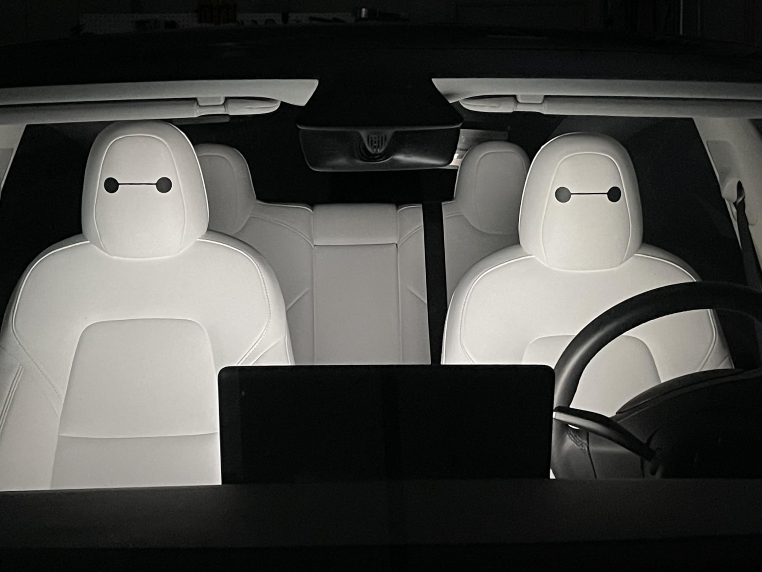 Amazon.com: Tesla Seat Eye Decals - Set of 6 - Tesla seat Stickers