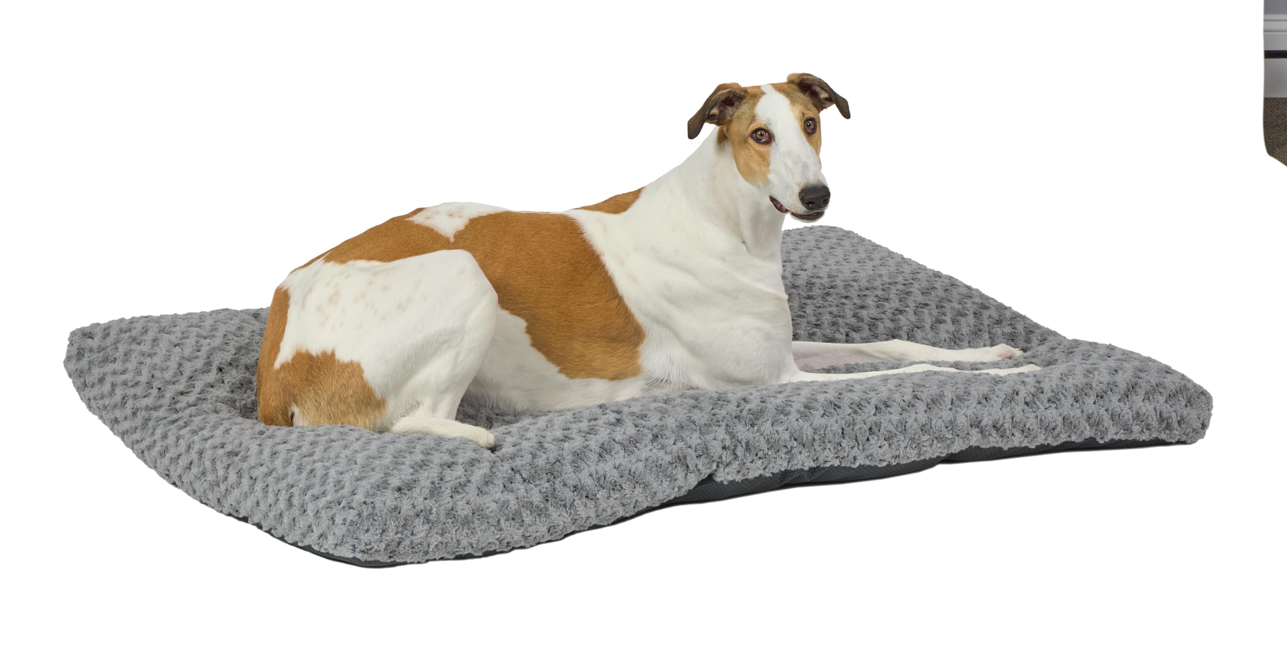 Gray 54-inch MidWest Homes Ombre Swirl dog bed for giant breeds | Mubboo