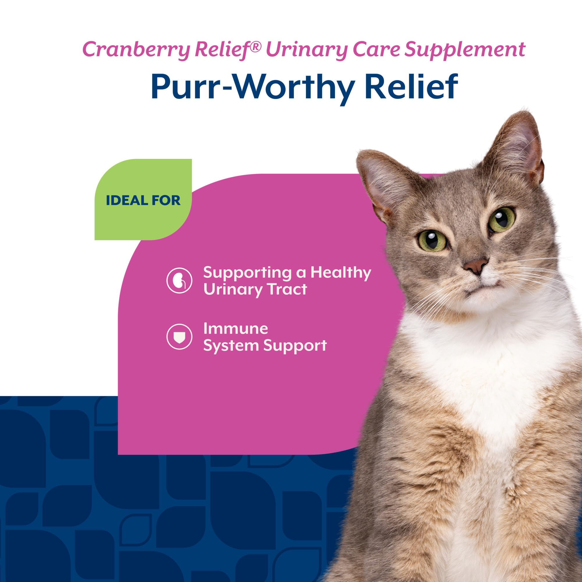 NaturVet Cranberry Relief and Echinacea Cat Soft Chew Urinary Tract 60 CT