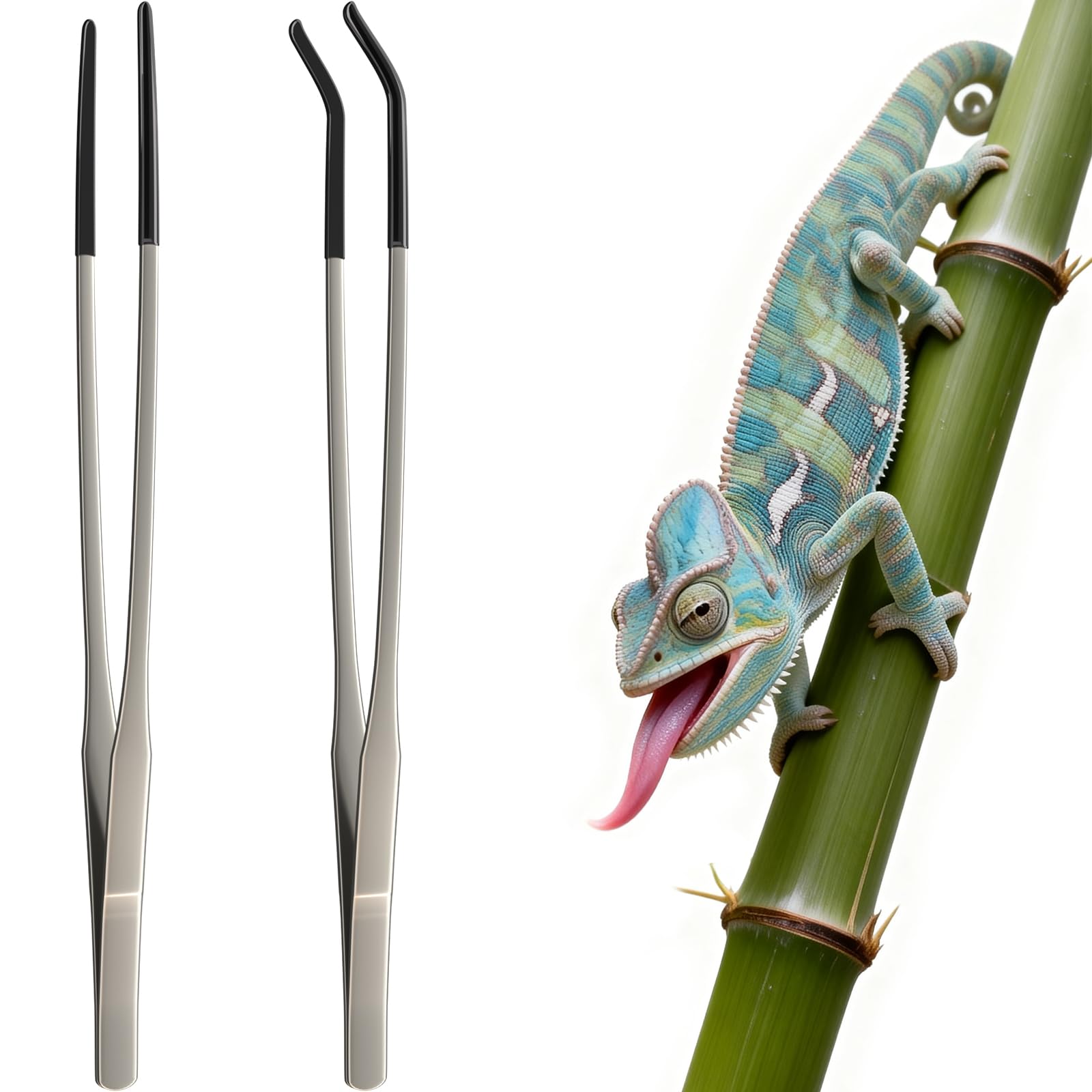 BilaliyMil 2 Pcs Extra Long Stainless Steel Reptile Feeding - terrarium accessories | Mubboo