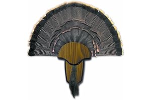 HUNTERS SPECIALTIES Mountable Turkey Fan Plaque For Your Hunting Trophy