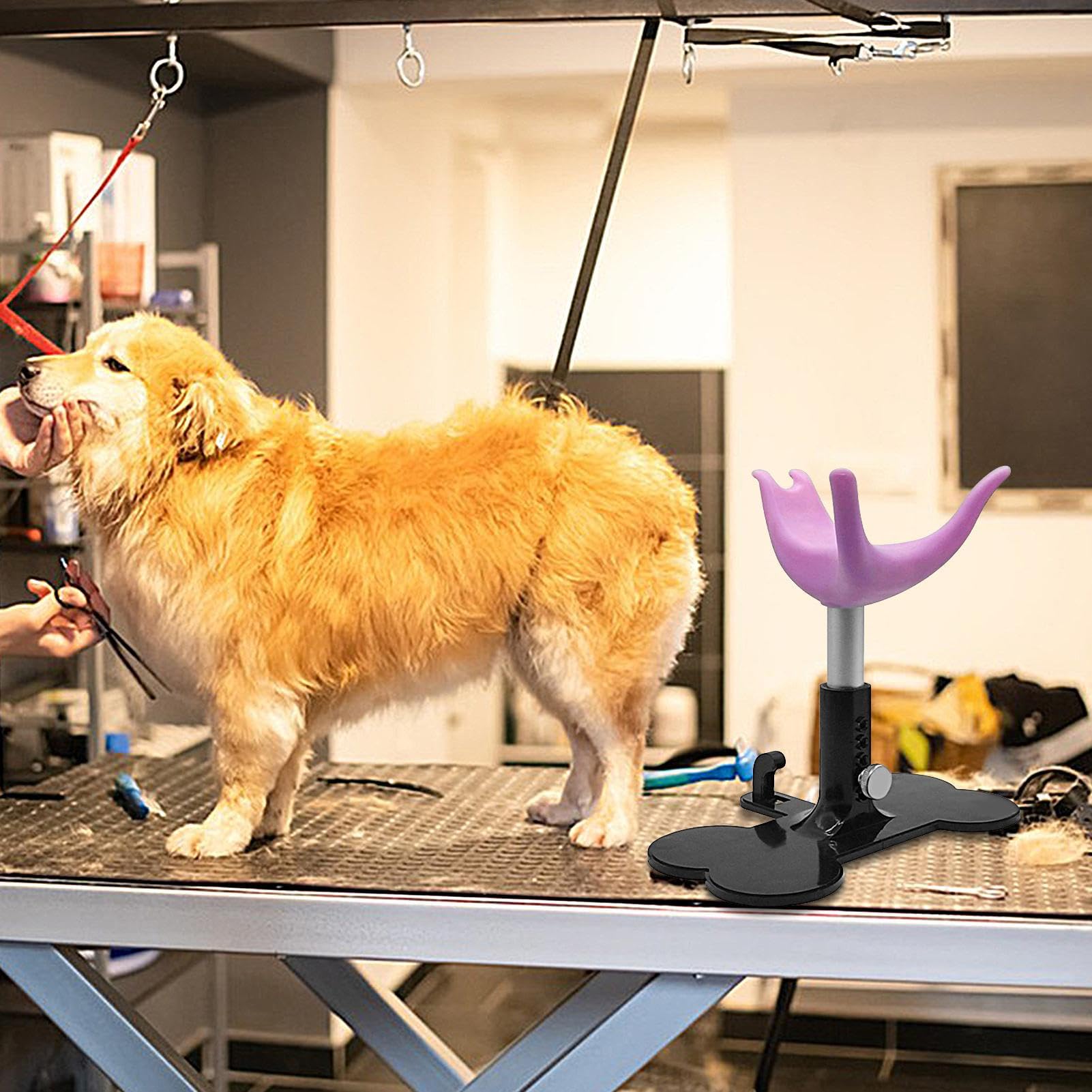 Pflegestuhl für kleine Hunde – Badewannenplattform für Welpen – Leiter und Sitzbank höhenverstellbar rutschfest für Bad, Dusche und Fellpflege