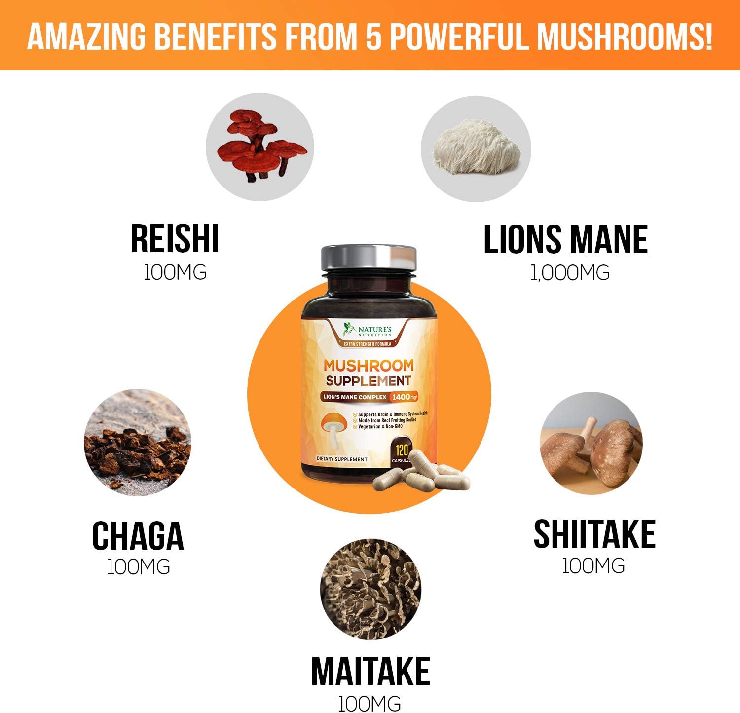 Mushroom Supplement - 5 Mushrooms Complex with Reishi, Lions Mane, Maitake, Chaga - Immune Support and Brain Support - Natural Nootropic for Energy - Support Memory and Focus - 120 Capsules