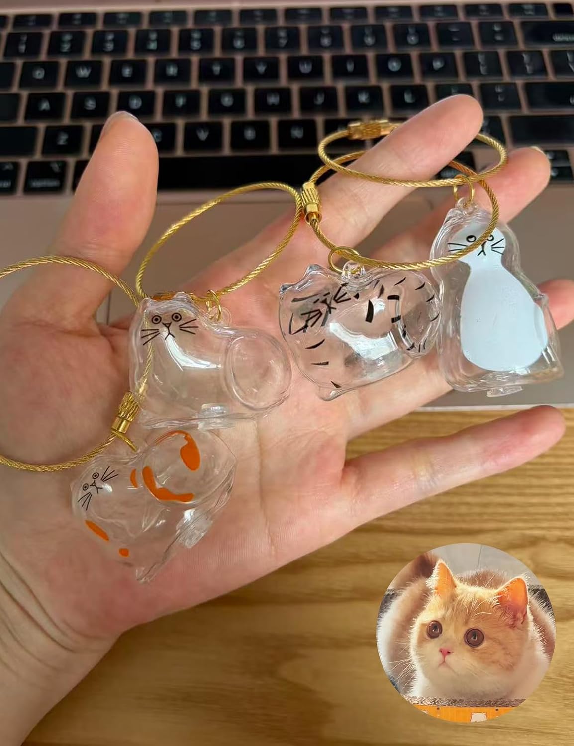 3D Clear Pet Hair Keepsake Keychain, Transparent Cat Fur Collector Storage Charm, Memorial Jewelry Gift for Pet Lovers (04) image 2