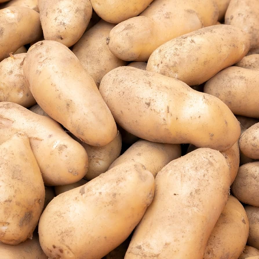 Amazon.co.jp: ジャガイモ メークイン訳あり品 25年新物 茨城県産 M