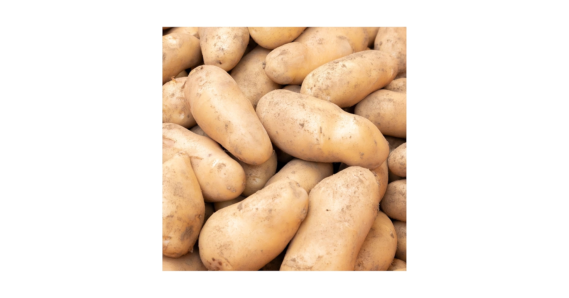 ジャガイモ　メーク　訳あり　05 61+-a30otHL._UF350,350_QL50_.jpg