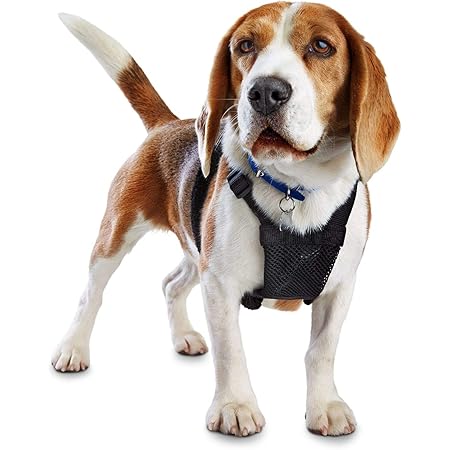 good2go harness front walking