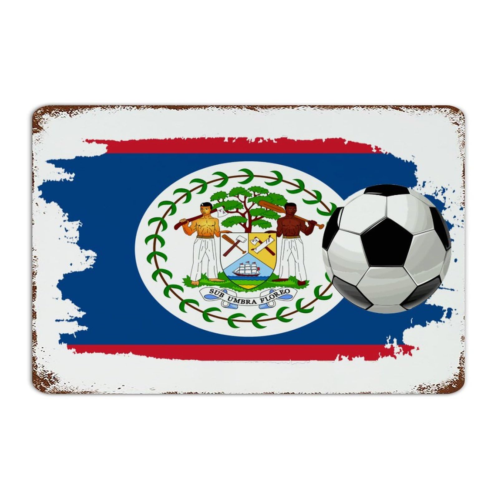 Plaque métal football Belize habille vos murs vides avec humour