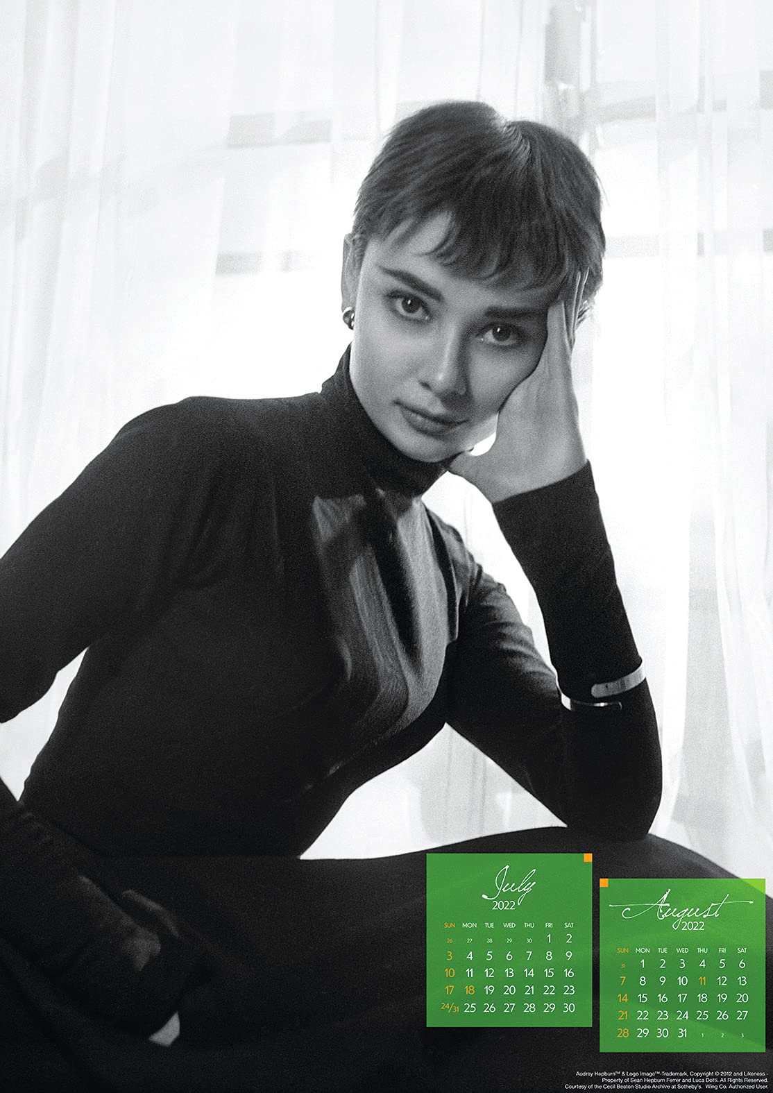 Amazon.co.jp: トライエックス オードリー・ヘプバーン 2022年