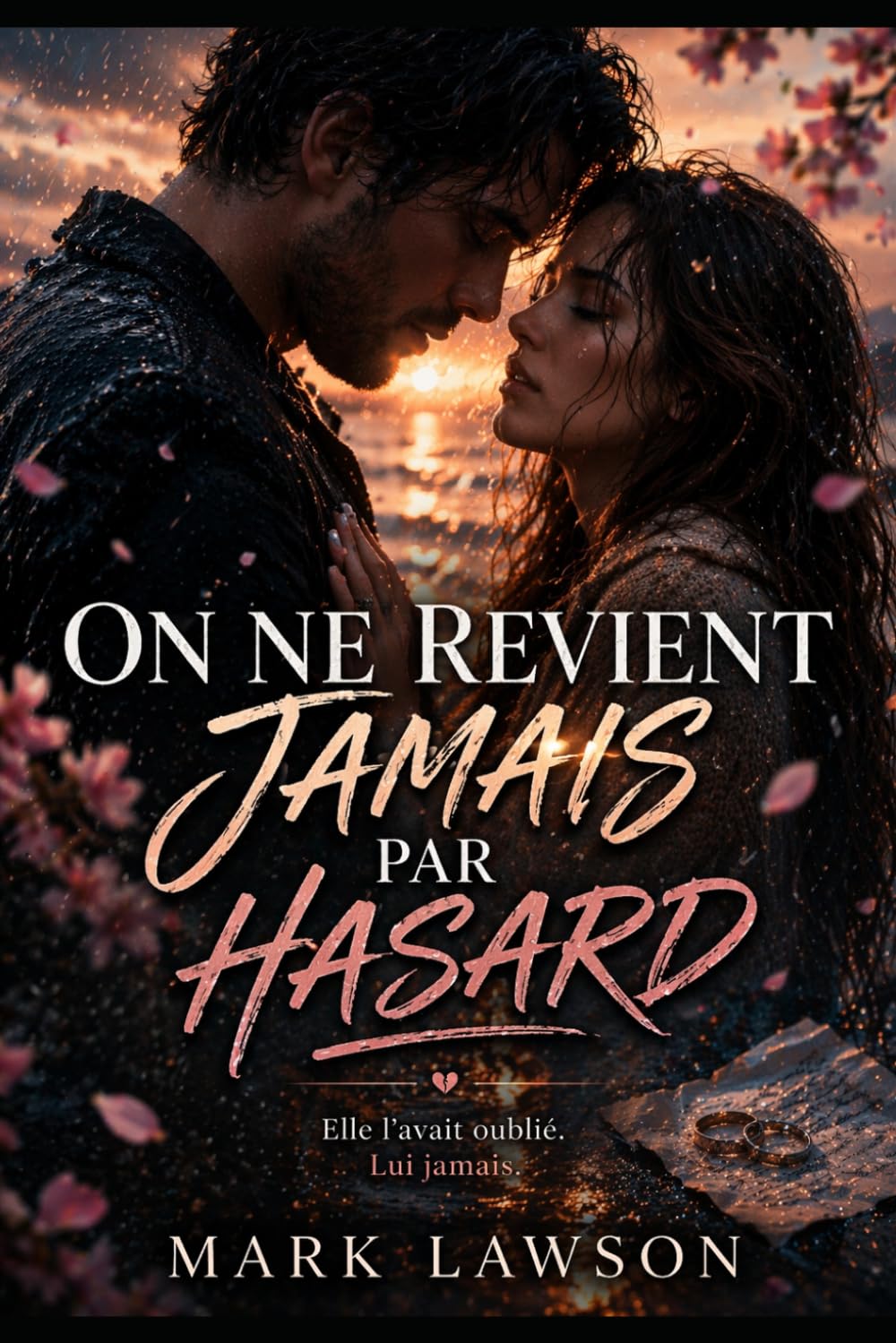 Ce qu'on croyait vouloir: On ne revient jamais par hasard