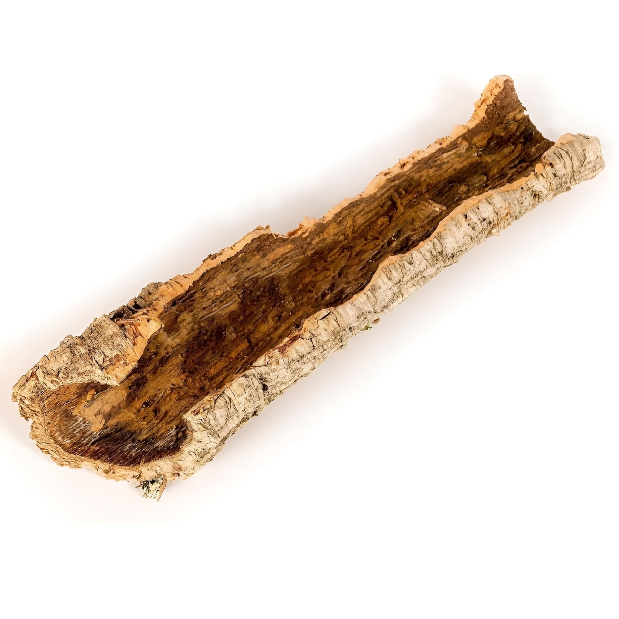 Cork Bark Flats 60 cm - Cork Bark for Reptiles, Terrariums & Vivarium Decoration (1 Pack)