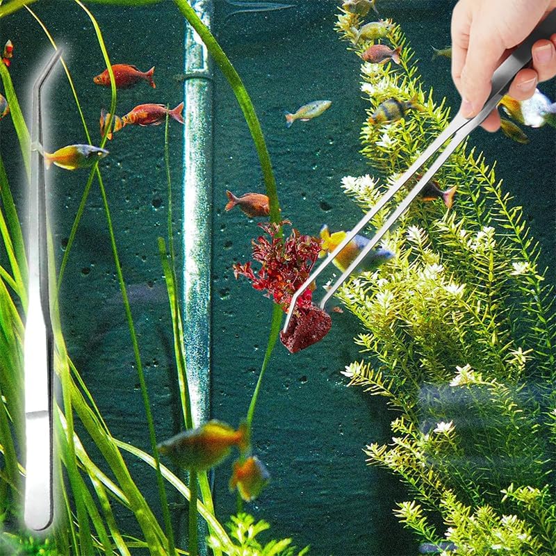 10.6" Sanded Curved Aquarium Tweezers Stainless Steel for Reptile Feeding & Aquascape Suitable for Lizard Bearded Dragon Snake Tank and Other Breeding Scenes Tools