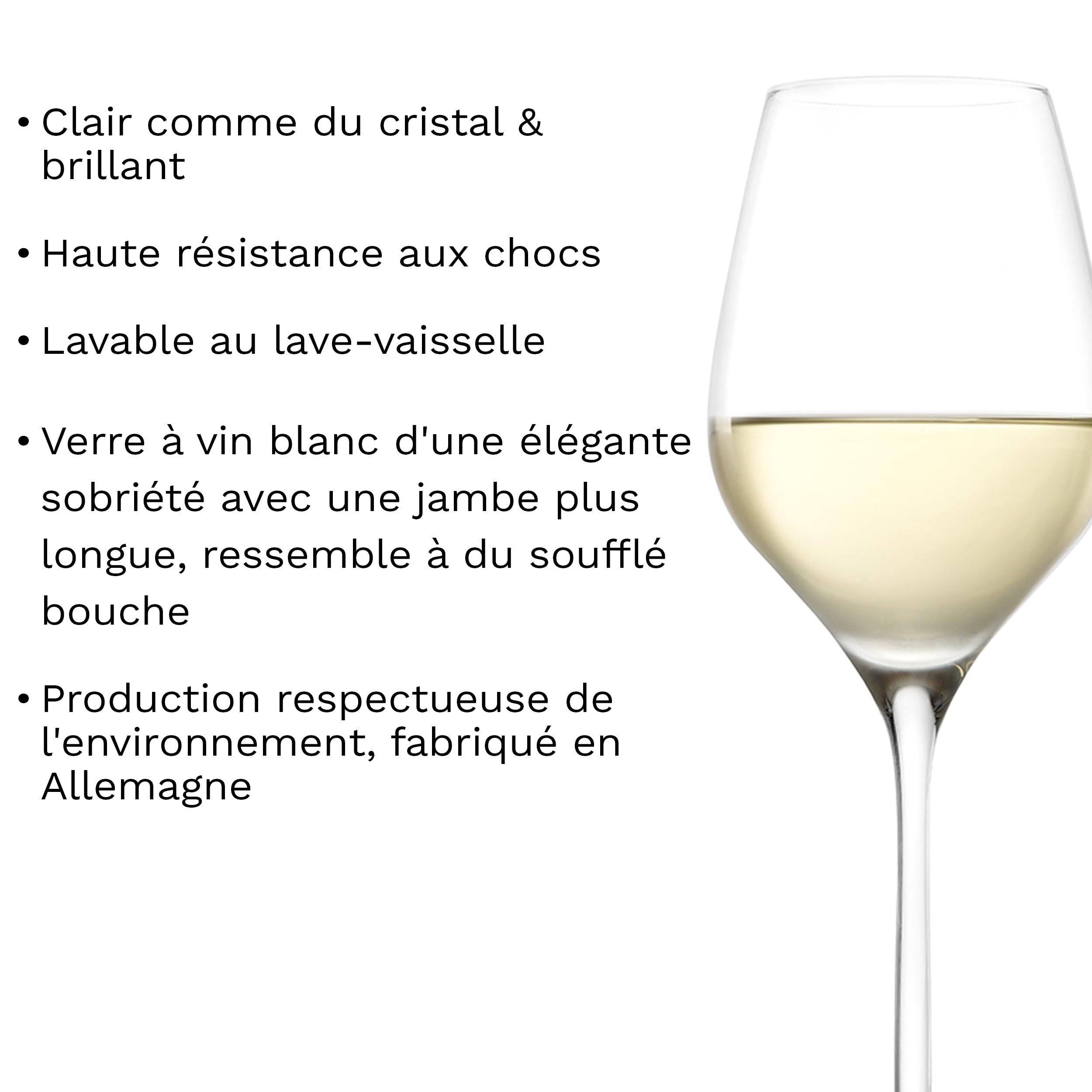 Stölzle Lausitz Verres à Vin Blanc Exquisit Royal 6-Pièces 350 ml – Verres Élégants en Cristal pour Vin Rouge Léger & Rosé – Résistants au Lave-Vaisselle