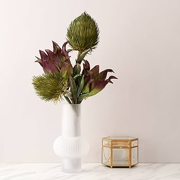 Amazon.co.jp: Francfranc フランフラン ライン フラワーベース Amazon.co.jp: Francfranc フランフラン ライン フラワーベース